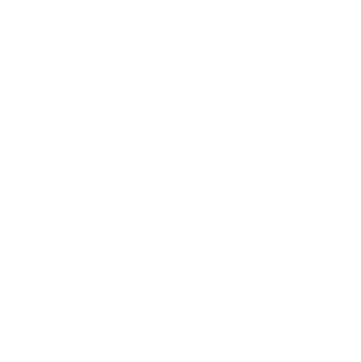 Audit & Assurances